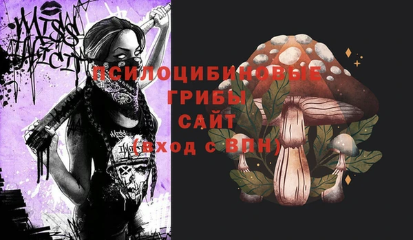 хмурый Балабаново